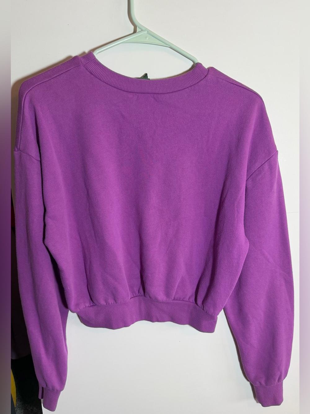 wild fable Vibrant Purple Cropped Sweatshirt - Picture 1 of 2